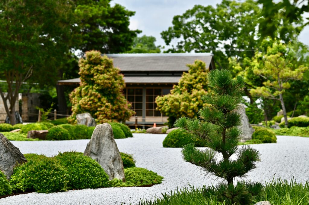 Découvrez quelles plantes et décorations extérieures choisir pour mettre en valeur votre jardin ou terrasse et séduire les acheteurs.